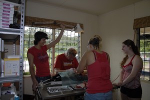 Opereren in Suriname bij het dierenasiel 