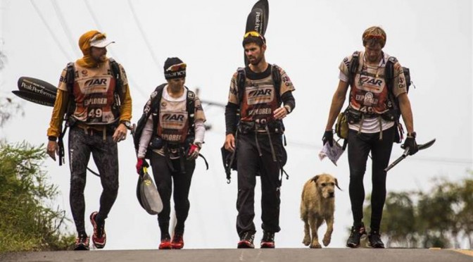 Zwerfhond wordt vrienden met atleten en gaat 65 kilometer lang avontuur aan  