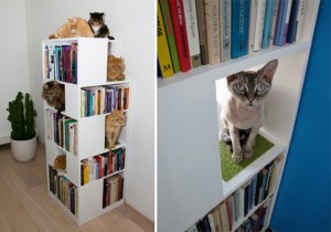 Boekenkast vol katten. Petsie.nl