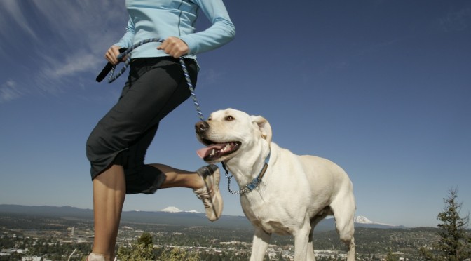 Vijf tips om samen met je hond fit te worden