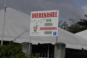 Dierenasiel in Suriname