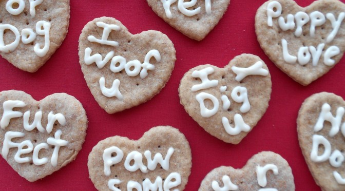 Je hond of kat verwennen met een zelfgemaakt valentijnskoekje?