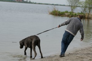 Niet ruiken, niet ontdekken, een verschrikking voor onze viervoeters. Foto: hondenbescherming.nl