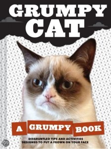 grumpy boek
