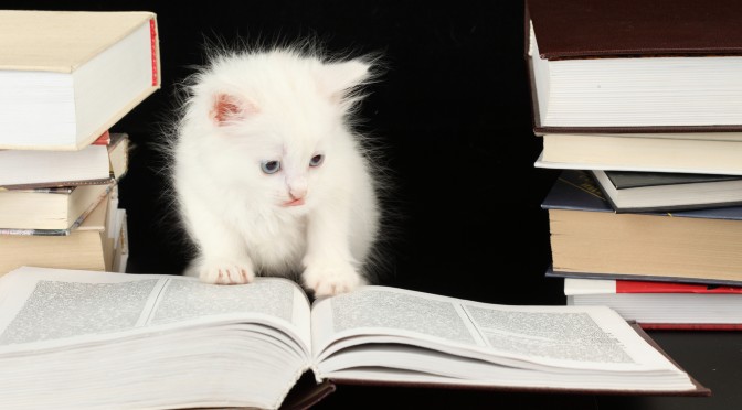 De tien honden- en kattenboeken die je móet hebben